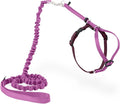 PetSafe Come With Me Kitty Cat Harness & Bungee Leash - Comfortable Cat Harness with Lightweight Bungee Leash for Outdoor Fun - More Secure Walks - Medium - Dusty Rose