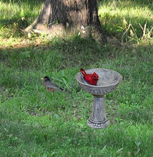 G & F Products MiniGardenn Cardinal Birdbath Pick, 2.25" Polyresin Miniature with Metal Stake, Outdoor Mini Kit Decoration, Fairy Ornament Accessory for Planters, Terrariums, Mini Scenes & More