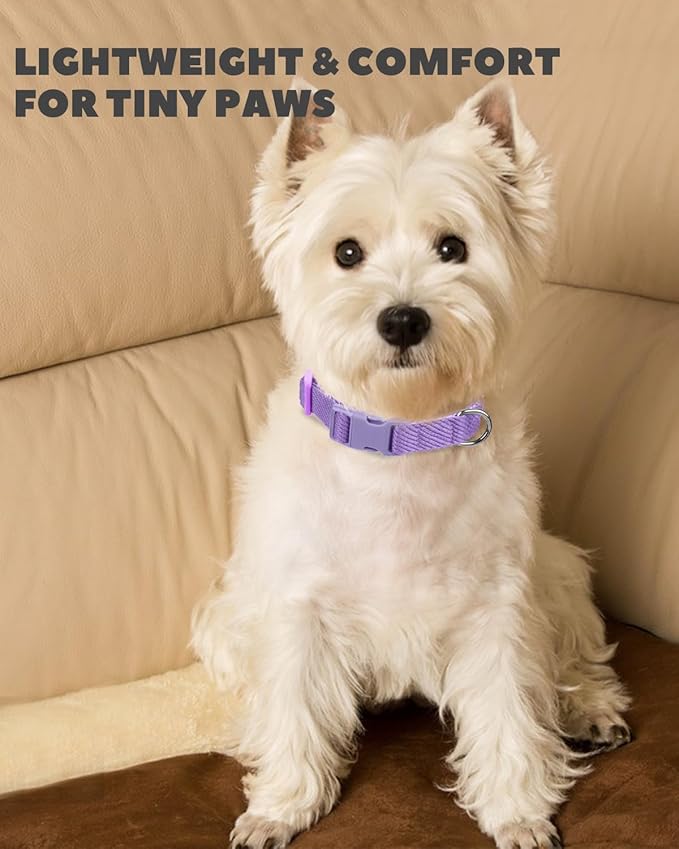 Dynmeow Soft and Breathable Cotton Dog Collar, Durable Adjustable Female Girl Pet Collar with Quick-Release Buckle, Lightweight for Sensitive Skin for Small and Medium Dogs, Purple, S