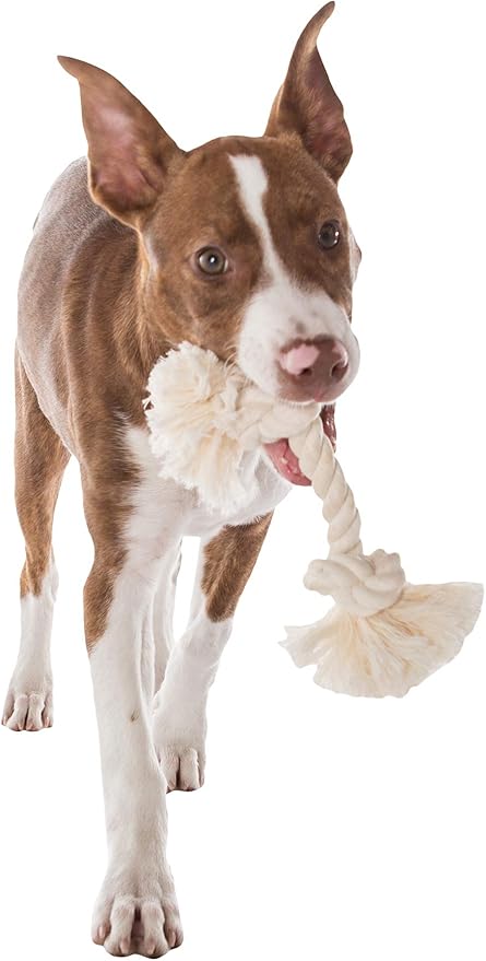 Mammoth Pet Products Dog,Flossy Chews 100-Percent Cotton White Rope Bone, Large, 14-Inch (10006V) (Pack of 2)