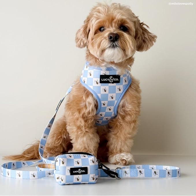 Lucy & Co. Bumbling Around Reversible Dog Harness, Adjustable Comfort Fit with Dual Leash Attachments, Small