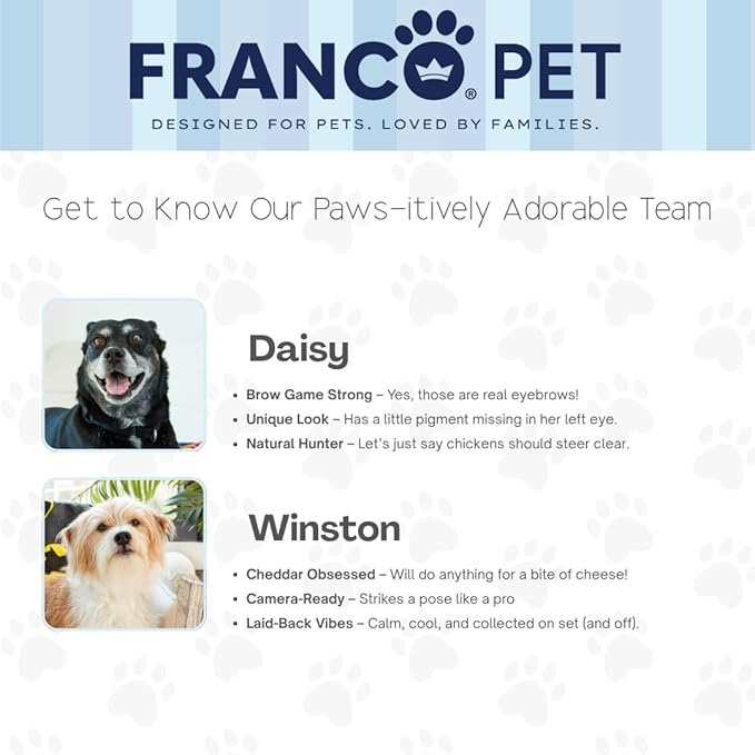 Franco Pet Superman DC Comics Super Soft Cozy Waterproof Sherpa-Backed Blanket Throw for Medium Dogs, Couch/Bed/Car, 40x50 (Officially Licensed Product)