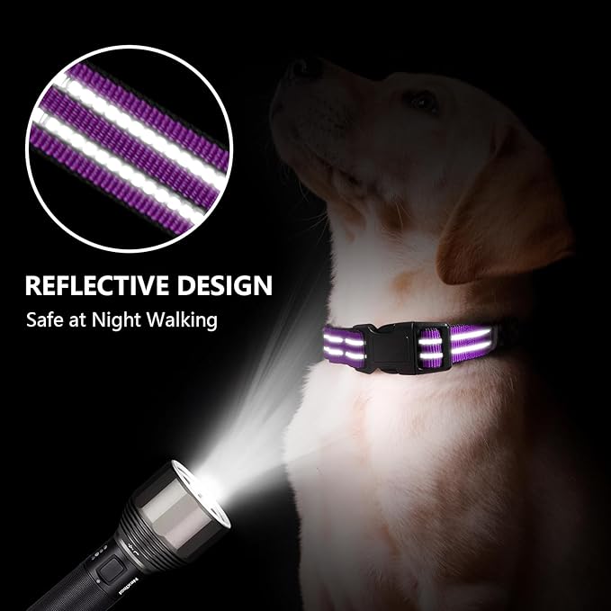 Martingale Dog Collar, Adjustable Nylon Reflective Collar with Quick Release Buckle (Real Purple, Large)