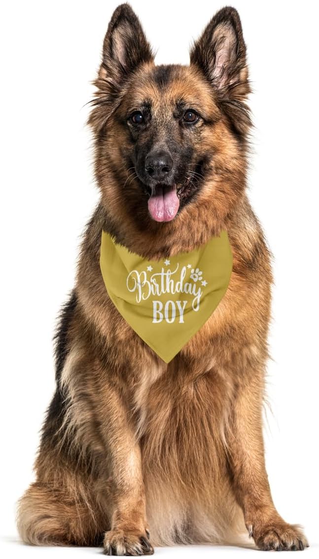 Birthday Boy Dog Bandanas, Dog Birthday Bandana, Birthday Bandana for Small Medium Dog, Pet Accessories for Dog, Happy Birthday Dog Bandana for Boys, Pet Scarf (B17)