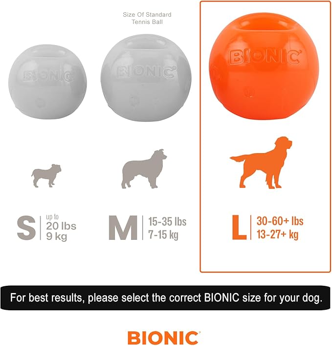 BIONIC Ball Dog Toy, Large - Interactive Dog Chew Toy That Stands Up to The Toughest Chewers, for Dogs Between 30-60+ lbs. (13-27+ kg.)