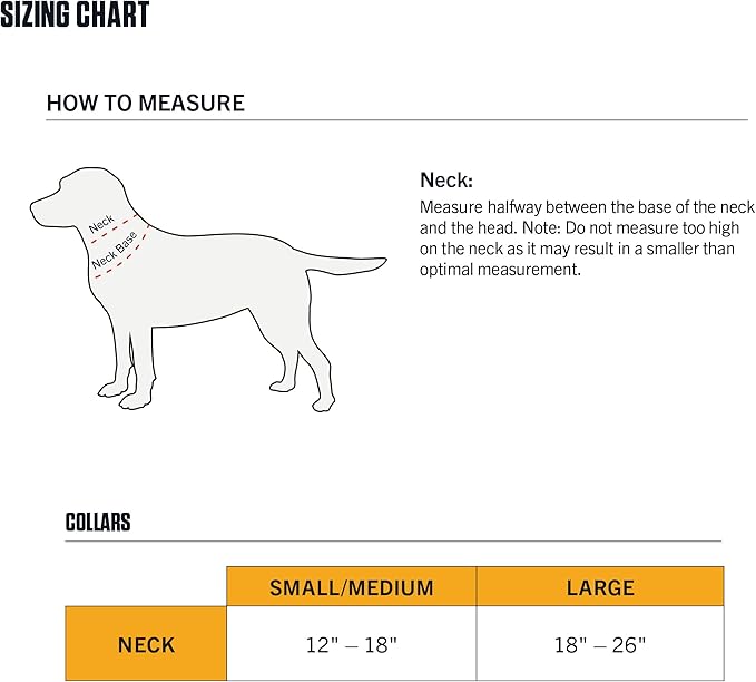 Carhartt Fully Adjustable Nylon Webbing Collars for Dogs, Reflective Stitching for Visibility, Hunter Orange (Nylon Webbing), Medium