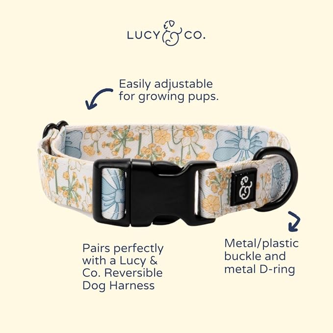 Lucy & Co. Sunshine and Daffodils Dog Collar, Adjustable Durable Dog Collar with Cute Print, Small