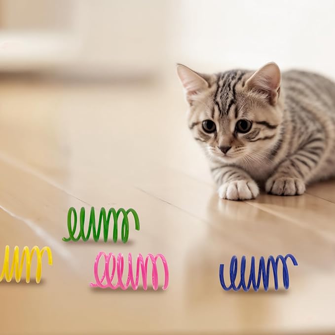 Cat Spring Toys 60 Pack, Interactive Toys for Kittens to Swat, Bite & Hunt, Colorful Durable Plastic Spiral Springs for Indoor Cats