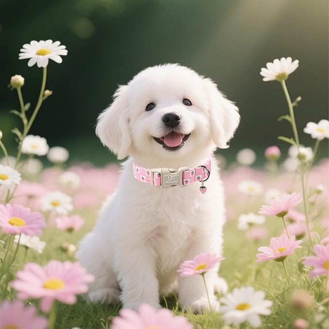 Spring Dog Collar, UP URARA PUP Strawberry Collars in Pink Checkered Adjustable Pet Collar with Quick Release, Daily Dog Accessories for Small Medium Large Dogs