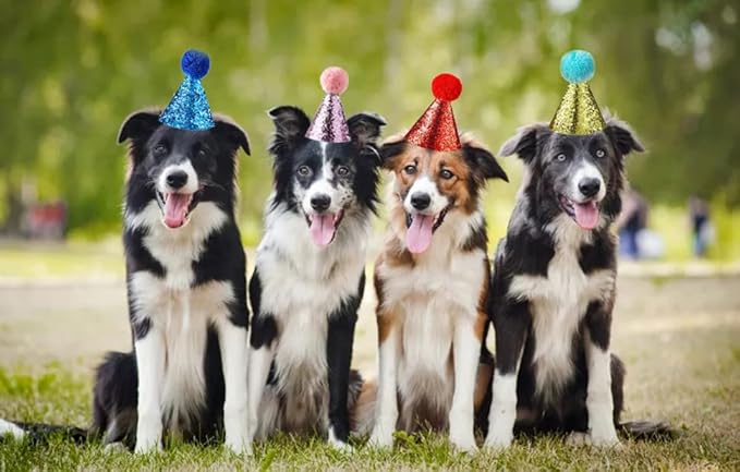 4 Pcs Cat Birthday Hat Bowtie Small Dog Hat Headband Topper Bowtie Adjustable Cute Puppy Birthday Costume Accessories for Small Medium Pets (2/LB-RB)