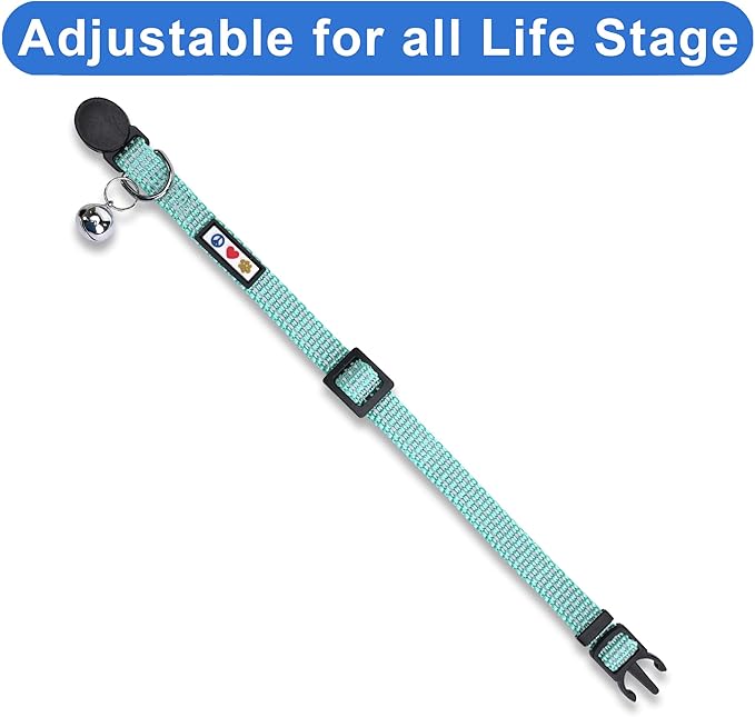Pawtitas Reflective Teal Cat Collar with Safety Buckle and Removable Bell for Kitten and Cats