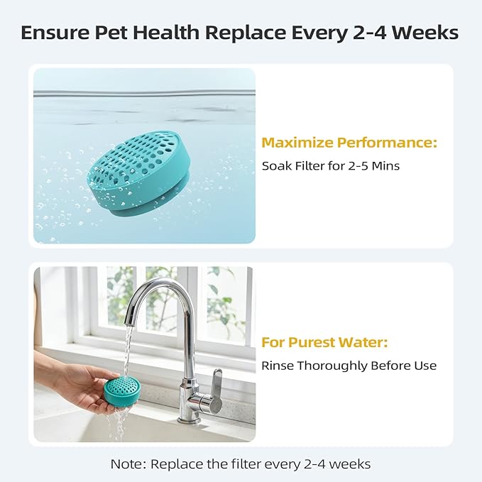 Glass Cat and Dog Water Fountain 90oz/2.7L, Compatible with Replacement Filters 4 Pack (with 4 Sponges)