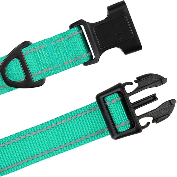 TagME Reflective Nylon Dog Collars, Adjustable Classic Pet Collar with Quick Release Buckle for Small Dogs, Turquoise, 3/4" Width