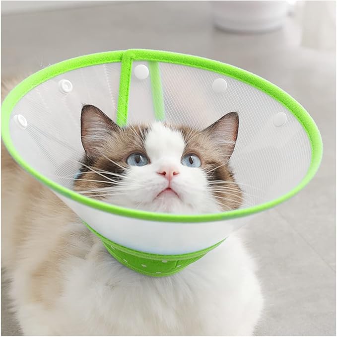 Pet Cone Recovery Dog Cone Adjustable Dog Collar Clear Padded Collar with Breathable Soft Edge, Plastic Puppy Cone Protect The Neck Surgery Recovery, Designed for Cats and Puppies (Medium, Green)