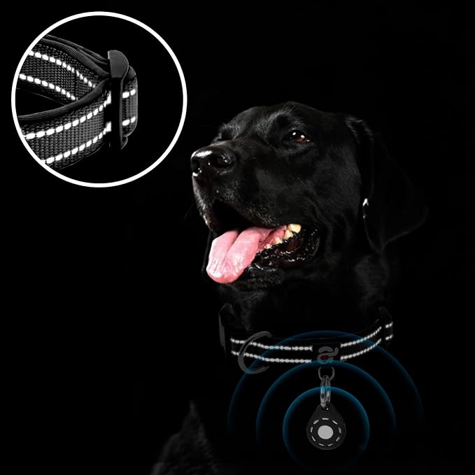 azuza Reflective Dog Collar with Airtag Holder, Soft Neoprene Padded Pet Collar with ID Tag Ring, Adjustable for Small Dogs,Black,L