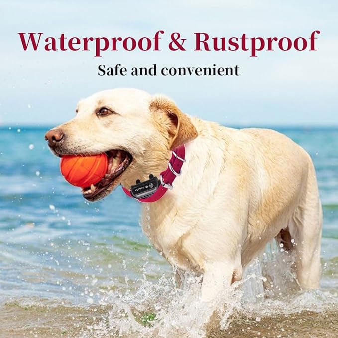 Universal 27 ½” X ¾” Replacement Band Strap for Dog Training Collar - Adjustable Waterproof TPU for Remote E-Collar, Static/Vibration Shock Trainer, Fits Most Bark Control & Obedience Devices