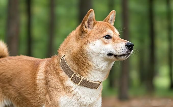 Soft Cotton Hemp Dog Collar with Metal Buckle Adjustable Tweed Dog Collars for Small Medium Large Dogs(Coffee,Large)
