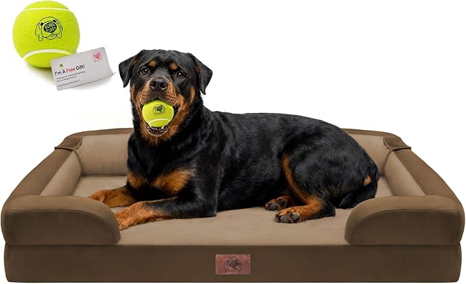 Orthopedic Dog Bed for Extra Large Dogs,XXL Waterproof Egg Crate Memory Foam Pet Bed Bolsters with Removable Washable Cover & Non-Slip Bottom, Tennis Ball Toy, 45 x 35