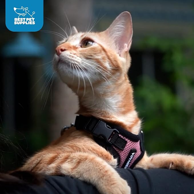 Voyager Step-in Pet Harness - All Weather Mesh, Adjustable Step in Harness for Cats and Dogs by Best Pet Supplies - Army/Black Trim, XS