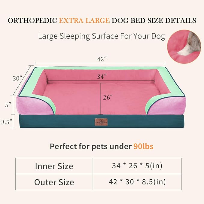 Comfort Expression Orthopedic Dog Bed for Extra Large Dogs 42x30 Inch, Waterproof Egg Crate Foam XL Pet Bed with Removable Bolsters, Dog Couch with Washable Cover & Non-Slip Bottom, Mint-Berry Dream