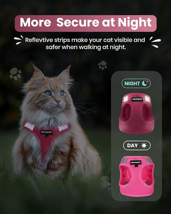 FAYOGOO Cat Harness, Cat Leash and Harness Set for Walking Escape Proof, Harness for Small Cats/Small Dogs, Large Kitten/Puppy Harness and Leash, Harness for Cats S-XXL(Pink, XX-Large)