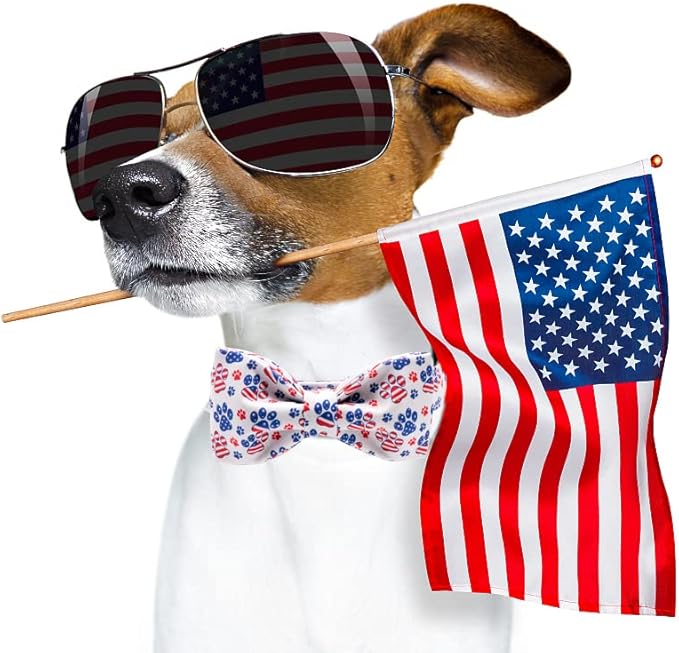 Lionheart Glory American Flag Dog Collar with Bow, Adjustable for Large Dogs