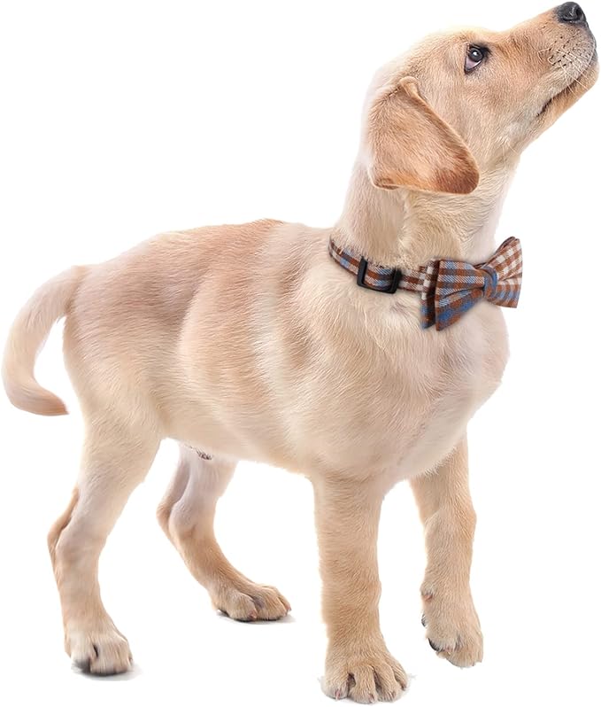 Faleela Soft &Comfy Bowtie Dog Collar,Detachable and Adjustable Bow Tie Collar,for Small Medium Large Pet (Small (Pack of 1), Blue and Whit)