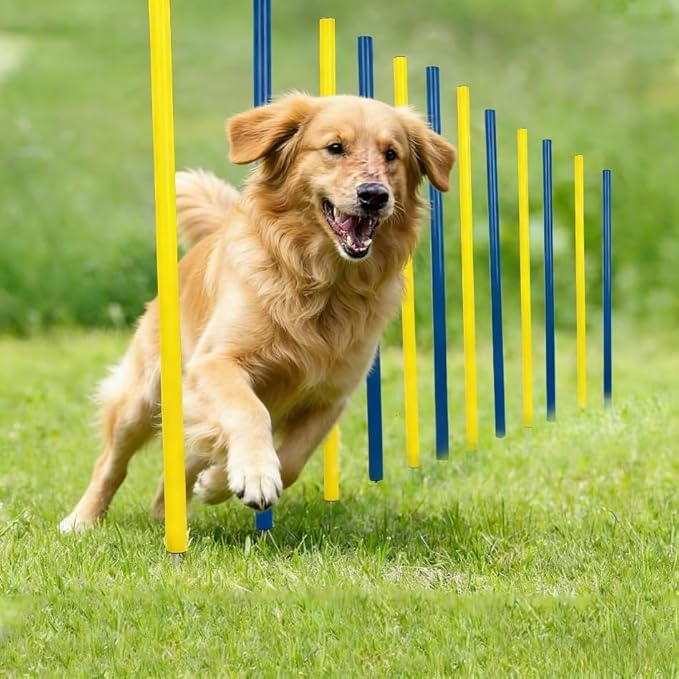 PAWISE Dog Agility Training Equipment,12 Weave Poles for Dogs with Stakes & Carry Bag, Dogg Agility Training Set for Outdoor Obstacle Course, Backyard Dog Exercise & Training Equipment for All Breeds