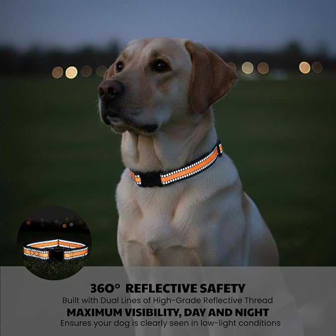 Dog Training Collar Replacement and Shock Collar Strap - 3/4 Inch Wide Adjustable Nylon Band with Reflective Replacement Strap for E Collar and Bark Collar (Orange)