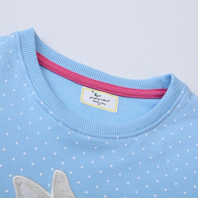 Toddler Baby Girls Cotton Sweater, Long Sleeve Crewneck Sweatshirt Pullover Kids Warm Clothing for Fall Winter