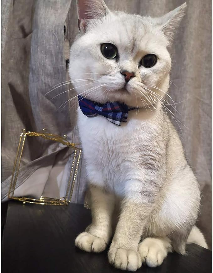 Cat Collar Breakaway with Bell and Bow Tie, Plaid Design Adjustable Safety Kitty Kitten Collars(6.8-10.8in) (Blue Plaid 1)
