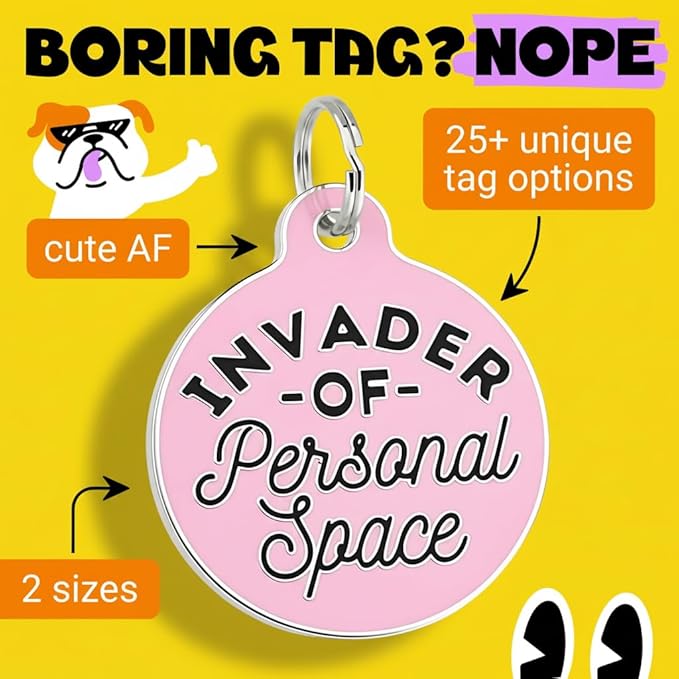 Bad Tags Personalized Dog and Cat ID Tags in 25+ Designs and 2 Sizes - 5 Lines of Custom Engraved Text - Funny Cute Personalized Pet Tags (Invader of Personal Space - Pink, Small (1 inch))