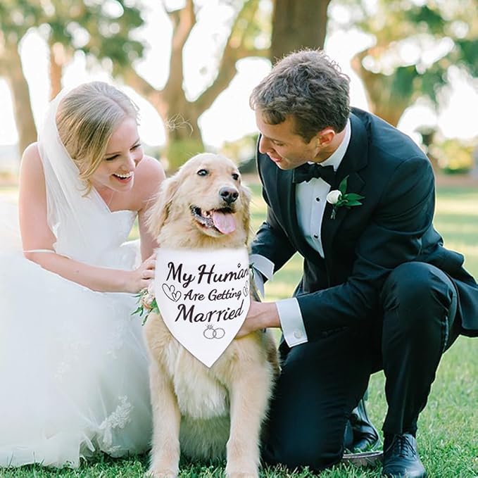 SZEE 2 Pack My Humans are Getting Married Dog Bandanas, Wedding or Engagement Gift for Couples, Dog Wedding Bandanas, Bridal Shower Gifts for Bride, Engagement Party Decorations (White & Black, XL)