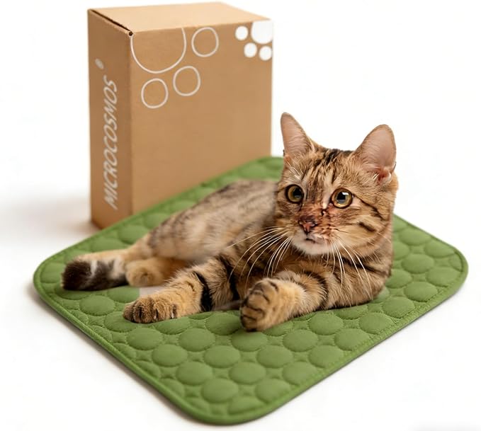 MICROCOSMOS Summer Cooling Mat & Sleeping Pad- Water Absorption Top, Materials Safe, Easy Carry, EZ Clean. Keep Cooling for Pets, Kids and Adults.(Green, 48" x48")