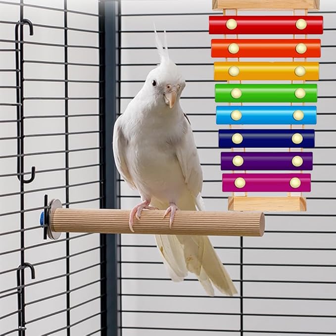 Colorful Bird Xylophone Toy Interactive Training Toy Bird Cage Bell Toy Accessories Music Musical Enrichment Bells for Conure Budgie Cockatiel African Grey Parakeet Finch Parrot Love Birds