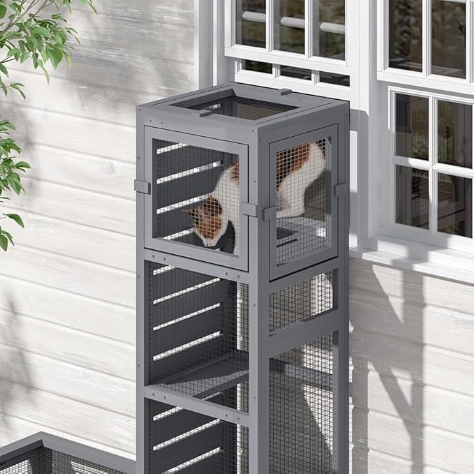COZIWOW Wooden Cat Play Tunnel with Platforms | Configurable Window Catio | Multi-Combination Extendable Cat Run for Indoor/Outdoor Use | Small Pet Play Enclosure