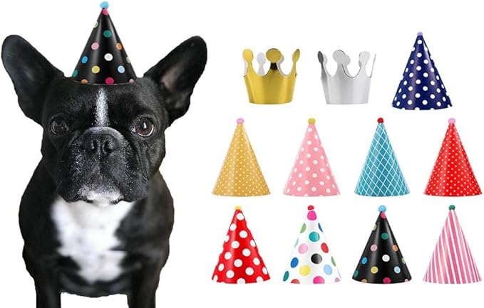 CBM Dog Party Hat Set - Dog Birthday Hats and Crowns - 11pcs