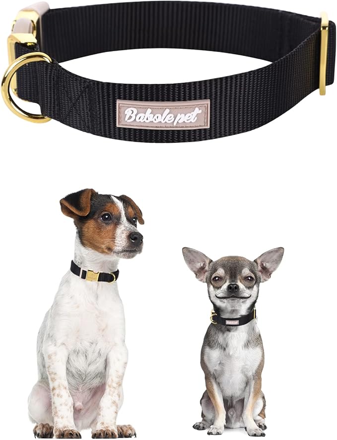 Nylon Dog Collar - Adjustable Black Soft Webbing Dog Collars for Small Medium Large Dogs Boy Girl Puppy Collar with Safety Metal Buckle S
