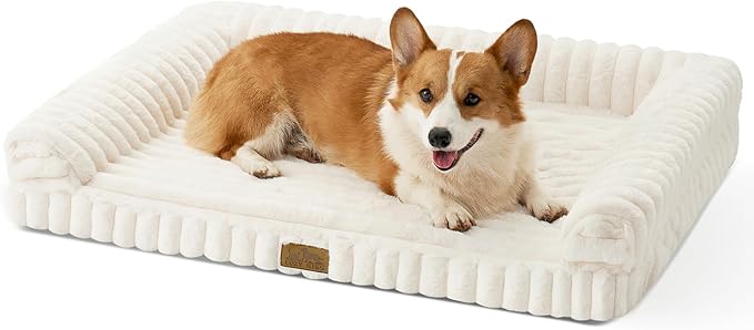 Cute Dog Bed for Medium Dogs, Faux Rabbit Fur Orthopedic Foam Dog Bed with Sides, Removable Washable Cover & Waterproof Lining, Comfortable Pet Couch, Cream (36" L x 27" W x 6.5" Th)