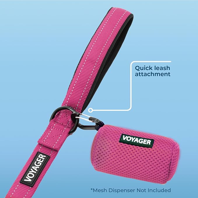 Best Pet Supplies Voyager Reflective Dog Leash or Collar with Neoprene Handle, for Small, Medium, and Large Breed Puppies, Cute and Heavy Duty for Walking, Running and Training - Fuchsia Leash, L