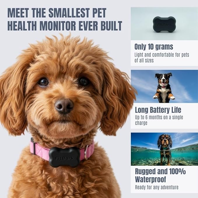 FitBark 2 Dog Activity Monitor | Health & Fitness Tracker for Dogs | Waterproof, Small & Leightweight (10 g) | Not a GPS Tracker