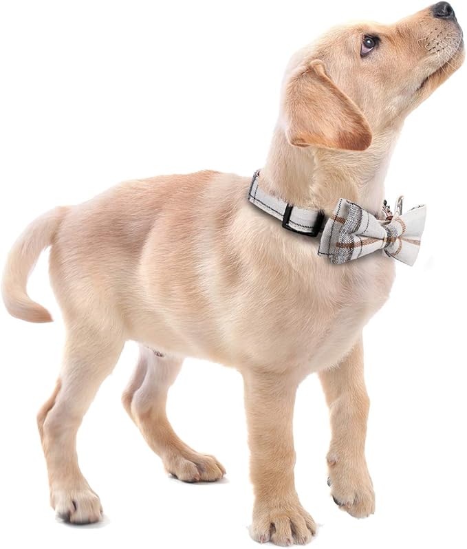 Faleela Soft &Comfy Bowtie Dog Collar,Detachable and Adjustable Bow Tie Collar,for Small Medium Large Pet (M, Beige)