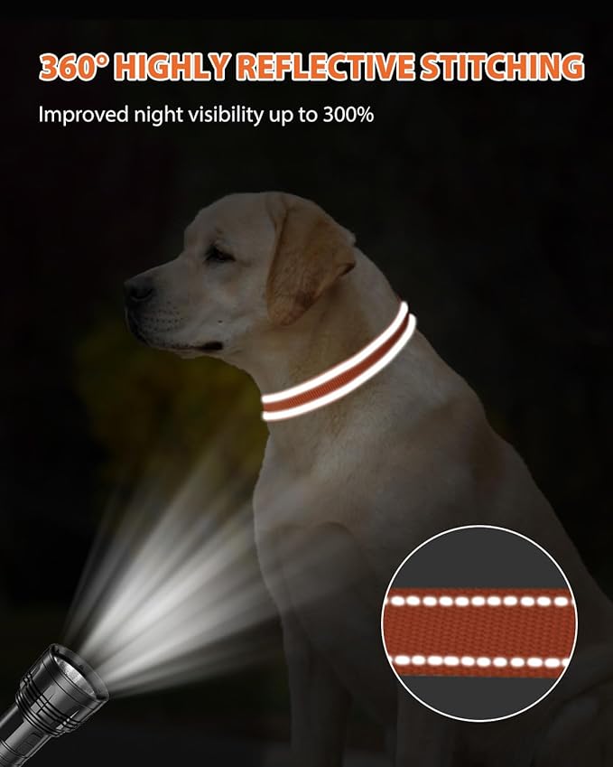 Joytale Reflective Dog Collar, Adjustable Nylon Pet Collar with Quick-Release Buckle for Medium Dogs, Orange, M