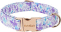 Elegant Butterfly Dog Collar, Purple Blue Gradient Design Collars for Dogs, Adjustable Comfortable for Small Medium Large Dogs, Handmade Cotton Puppy Collar for Daily Walks, Park Adventures-M