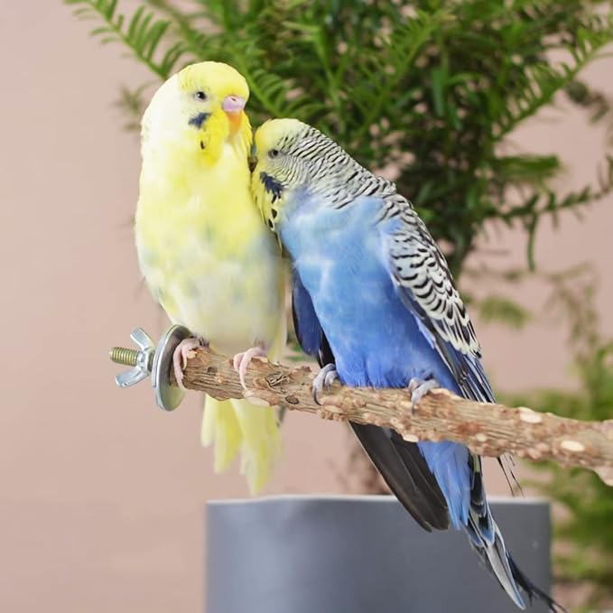 6 PCS Natural Wood Bird Perches Set, Parrot Stand Fork Toys, Hanging Multi-Branch Perch Bird Cage Accessories for Small Parakeets, Conures, Cockatiels, Budgies, Finches, 3 Types