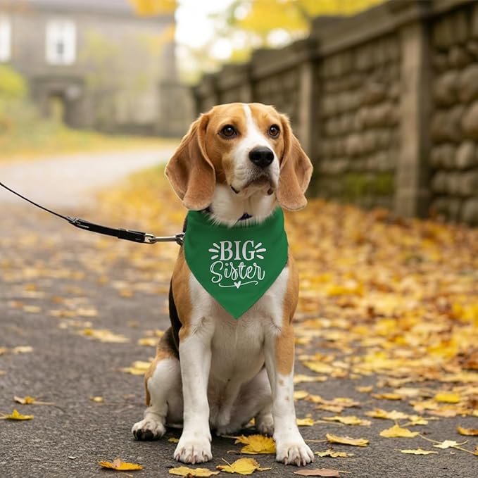 Big Sister Dog Bandana, Green, Triangle, 25 x 17 Inches, Flannel, Comfortable, Water Resistant, Geometric Pattern, Baby Shower, Unisex, Medium Dog Size, V-Neck, Machine Washable