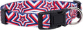 Native Pup American Flag Dog Collar- Red White and Blue- Patriotic Collars for 4th of July, USA- Adjustable Small, Medium, Large Breed Dogs (Small, Big Stars)