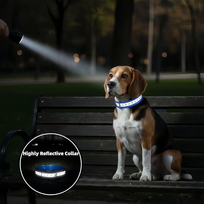 Shock Collar Replacement Strap for Most Training Collar, 3/4 Inch Dog Collar Replacement for Wireless Fence and Bark, Waterproof Adjustable Reflective TPU E Collar Strap for Small Medium Large Dogs 2P