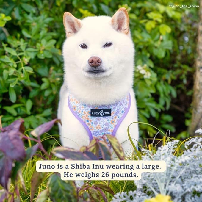 Lucy & Co. Cute Reversible Dog Harness Walking Halter - Best Designer Pet Harnesses for XS - XL Dogs - Padded Adjustable Vest for Easy Walking (Large, Among The Wildflowers - Purple Floral)