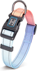 Roses&Poetry Reflective Dog Collar with Gradient Azure, Adjustable Durable Pet Collars for Small Medium Large Dogs (Azure-M)